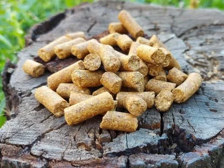 DUDI BAIT CSL PELLET 1kg
