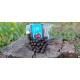 DUDI BAIT Csalizó bojli "Mr Dudi" 100g - 10mm, Dippelt főzött