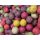 CFB ETETŐ OLDÓDÓ Bojli 1kg 20mm [ÍZ : Fruit - Édes gyümölcsök piros] [mennyiség: 1kg]