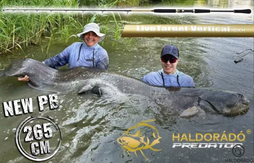 HALDORÁDÓ Predator LiveTarget Vertical 180XH vertikális harcsa horgászbot