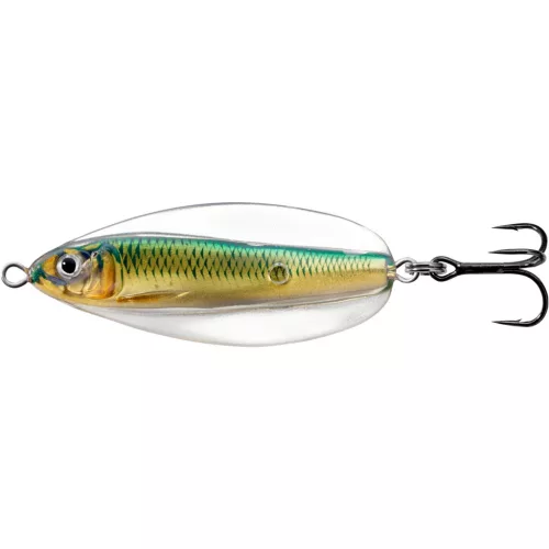 LIVETARGET ERRATIC SHINER SPOON GOLD/GREEN60 MM 14 G
