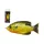 LIVETARGET SUNFISH WALKING BAIT FLORESCENT PUMPKINSEED 75 MM 12 G