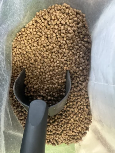 Mivardi Rapid Classic Halibut Pellet 4m 1kg (KIMÉRŐS)