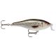 RAPALA SHALLOW SHAD RAP SSR05 ROL