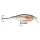 Rapala SHALLOW SHAD RAP SSR07 SD-