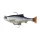Savage Gear 3D ROACH PULSETAIL 10CM 17.5G S ROACH