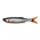 Savage Gear CRAFT DYING MINNOW 5.5CM 0.7G ROACH 5PCS