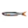 Savage Gear CRAFT DYING MINNOW 7.5CM 2G ROACH 5PCS