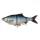 Savage Gear 4D LT ROACH 18CM 86G S ROACH