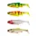 Savage Gear 3D RIVER ROACH 12CM 17G DW MIX 4PCS