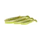 Savage Gear CANNIBAL SHAD 15CM 33G GPY 2PCS